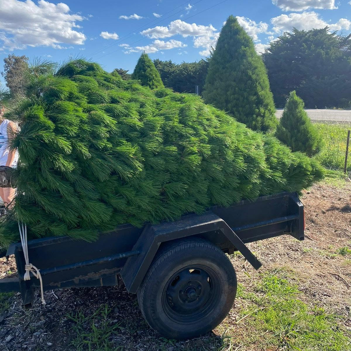 Tree Removal & Disposal Add-on