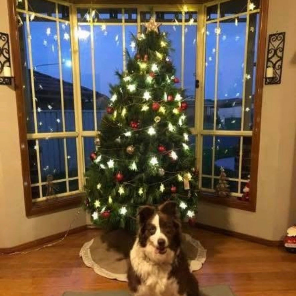 Farm Fresh Christmas Tree - 5ft