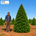 Farm Fresh Christmas Tree - 9ft
